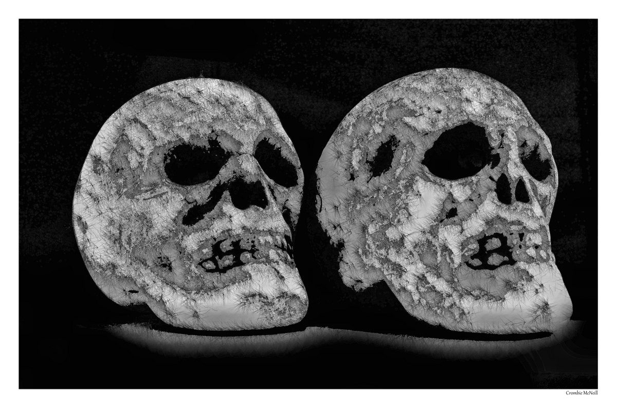 4. Studio – Styrofoam toy skulls with CFL lighting. 2 seconds f11 with macro 55