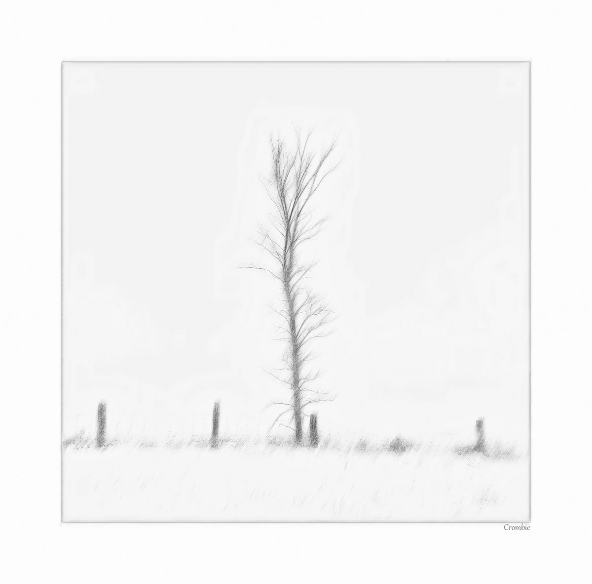 1. Winter landscape, 250 f6.3 at 1/250 f11