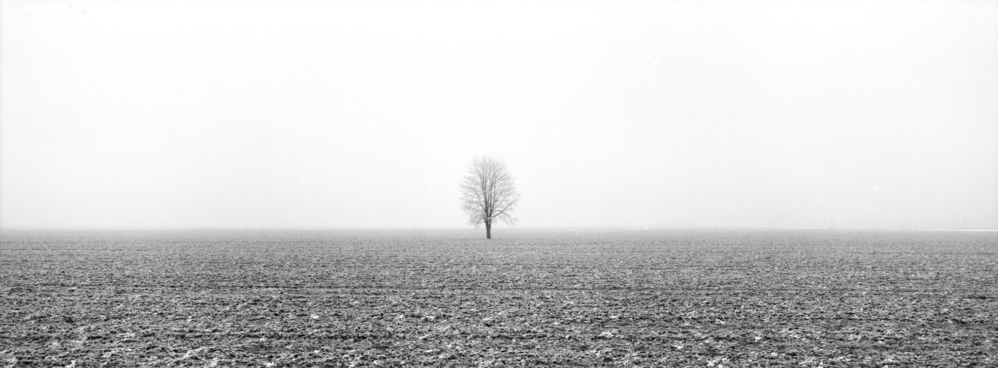 Lonely Tree near Lisewo f = 8, exp = 1 / 90s