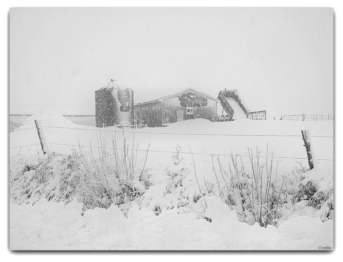 19. Rural snow covered farm in Quebec. 55 macro f2.8 at 1/500 at f8-f11