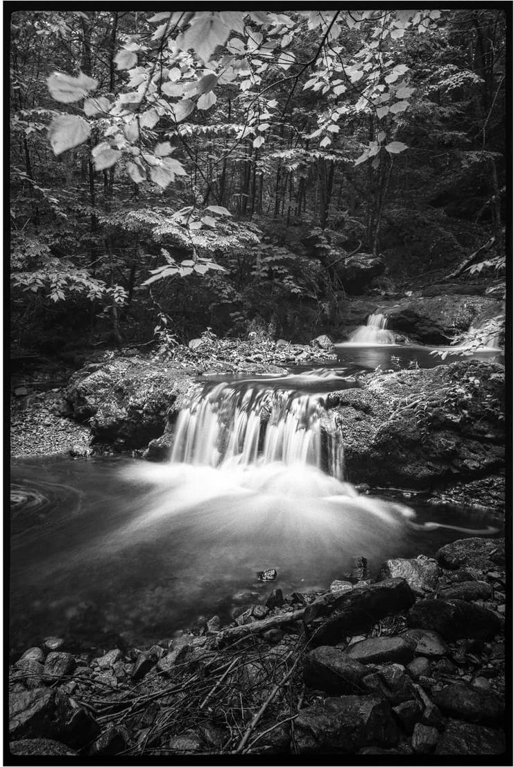  vaughnmphoto #35mmpanf @ilfordphoto #fridayfavourites canon iii, voigtlander 25mm/ pan f 50 • • #ilfordphoto #longexposure #staybrokeshootfilm #grainisgood #bnw_captures #blackandwhite #35mm #waterfalls #nature #naturephotography #landscapes #analog #film #35mmfilm #blackandwhitephotography #bnw_lovers #monochrome #newhampshire #bnw
