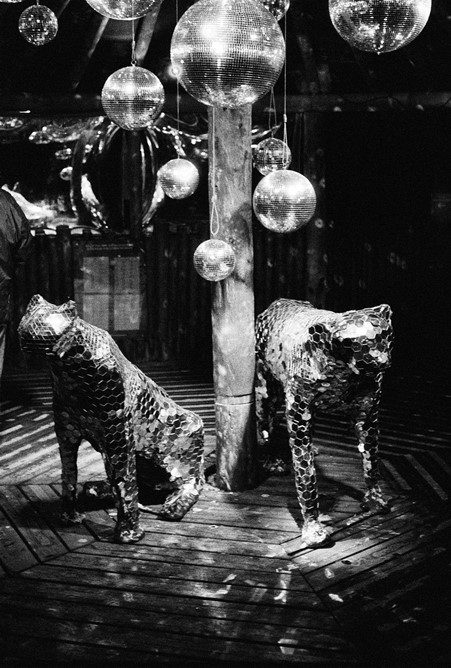 Reflective jaguars at the lanterns exhibit in Chester Zoo. Shot on Delta 3200.