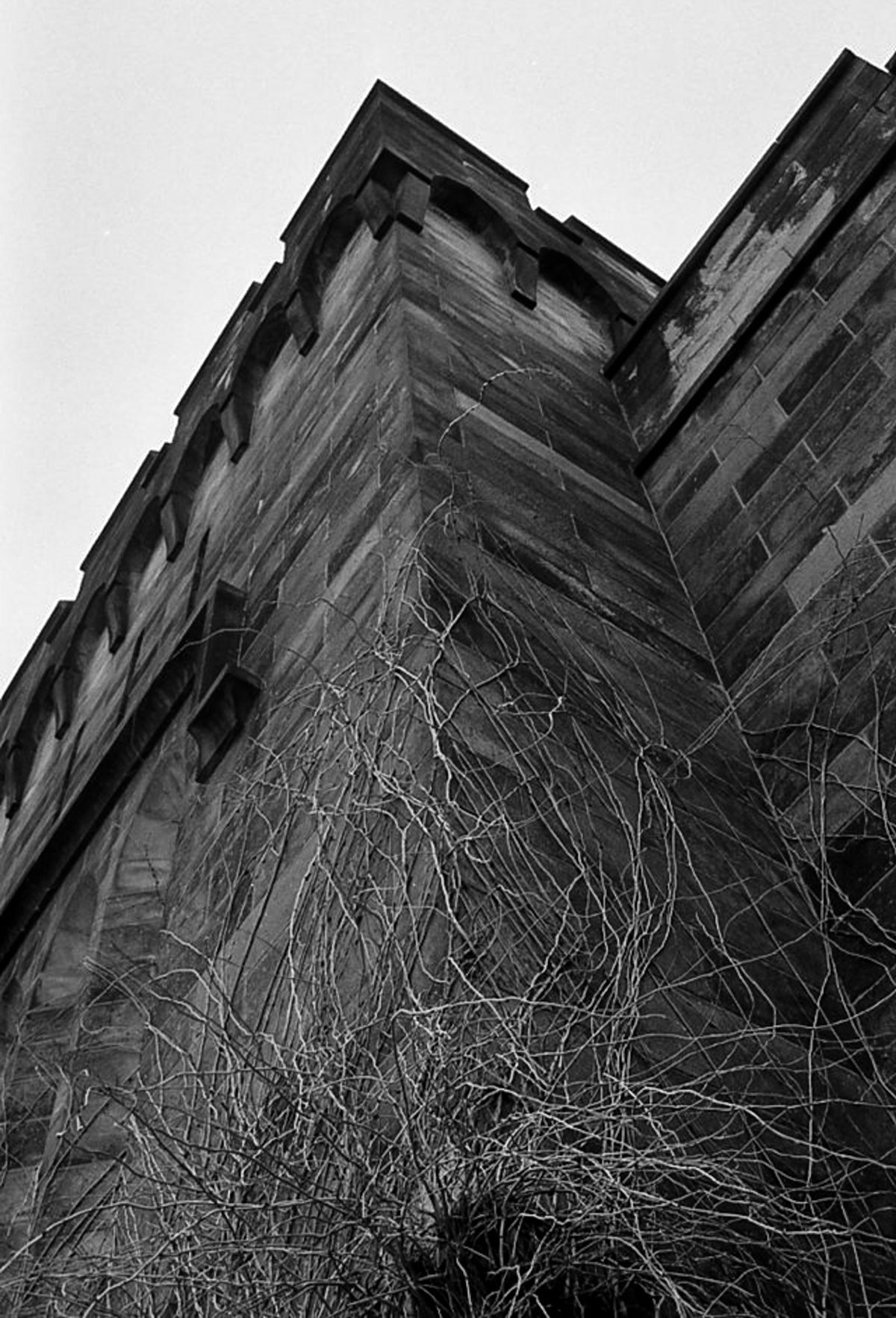 Eastern State Penitentiary's Gothic castle style architecture instills feelings of awe, power, and fear. I was limited by the lens I brought and couldn't capture the whole facade so I choose to focus on eery vines creeping up the stone walls.