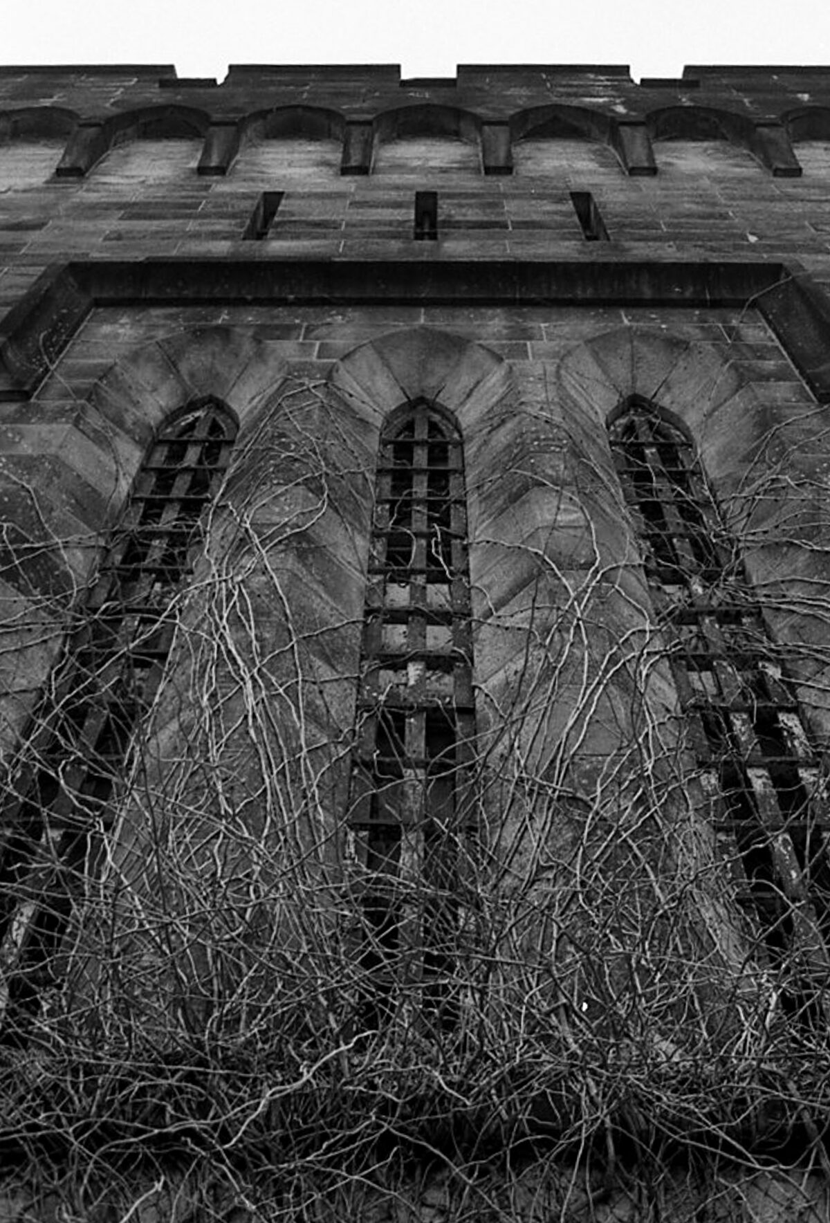 Eastern State Penitentiary's Gothic castle style architecture instills feelings of awe, power, and fear. I was limited by the lens I brought and couldn't capture the whole facade so I choose to focus on eery vines creeping up the stone walls.