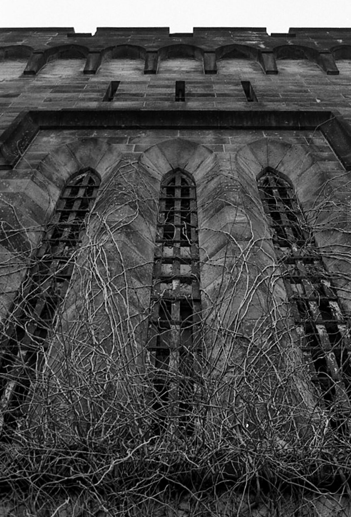 Eastern State Penitentiary's Gothic castle style architecture instills feelings of awe, power, and fear. I was limited by the lens I brought and couldn't capture the whole facade so I choose to focus on eery vines creeping up the stone walls.