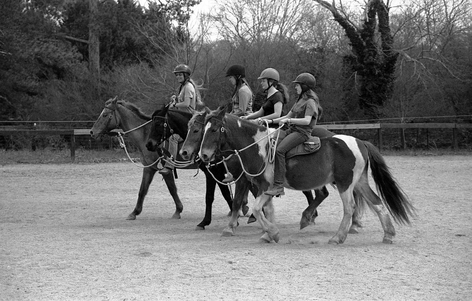 @DavidNee6 "The Fantastic Four - Flying in Formation" #ilfordphoto #fridayfavourites #35mmkentmere Canon Rebel T2, 28-105 USM II, Kentmere 400, Caffenol CH #caffenol #believeinfilm