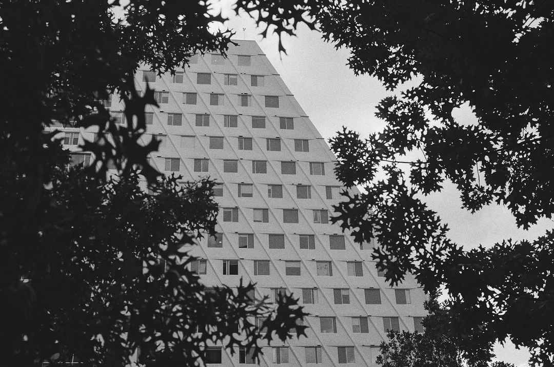 hplemke oak frame • ? olympus om-1 ? ilford fp4 (?cinestill df96) another one for @ilfordphoto #fridayfavourites #framedfilm #35mm #35mmfilm #bwfilm #blackandwhite #ilfordphoto #ilfordfp4 #ilford #shootfilm #filmphotography #analogphotography #cinestilldf96 #homedeveloped #olympusom1 #zuiko