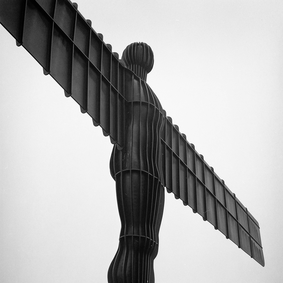 2020-06-29-v-d100-012.jpg Angel of the North, 2019, Ilford Delta 100, Hasselblad 500C/M