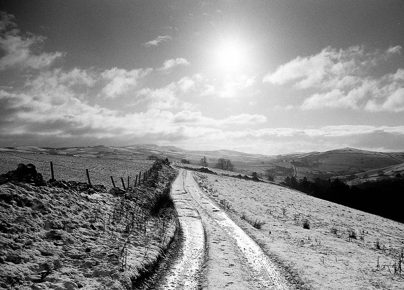@debrawilsonsays The road less travelled. Shot on Pentaz MZ5n, IlfordDelta100, developed in IfotecDDX #ilfordphoto #fridayfavourites #wintertime #shootfilmbenice
