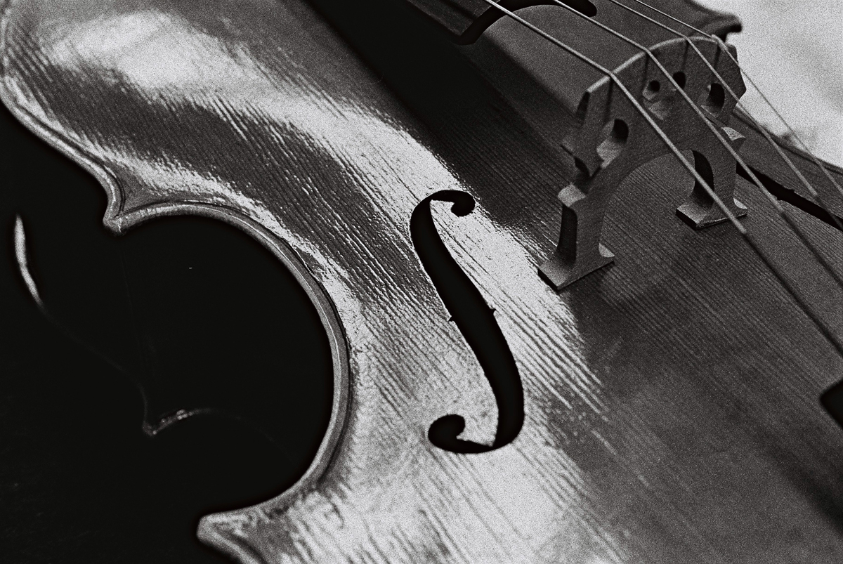 This was the first photo I took of an instrument, a cello made in Cremona. #ilfordphoto #fridayfavourites #anewstart