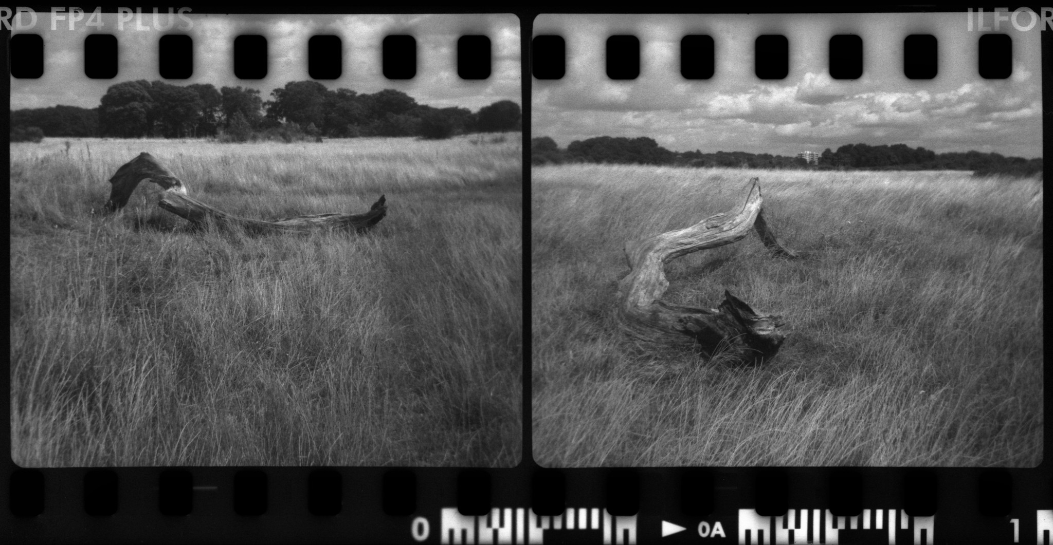 @itsnotaphoto · 19h Replying to @ILFORDPhoto A 126 cartridge reloaded with 35mm @ILFORDPhoto FP4 Plus to make a diptych complete with #sprocket holes, shot in a Kodak Instamatic 25. #ilfordphoto #fridayfavourites #sprockets