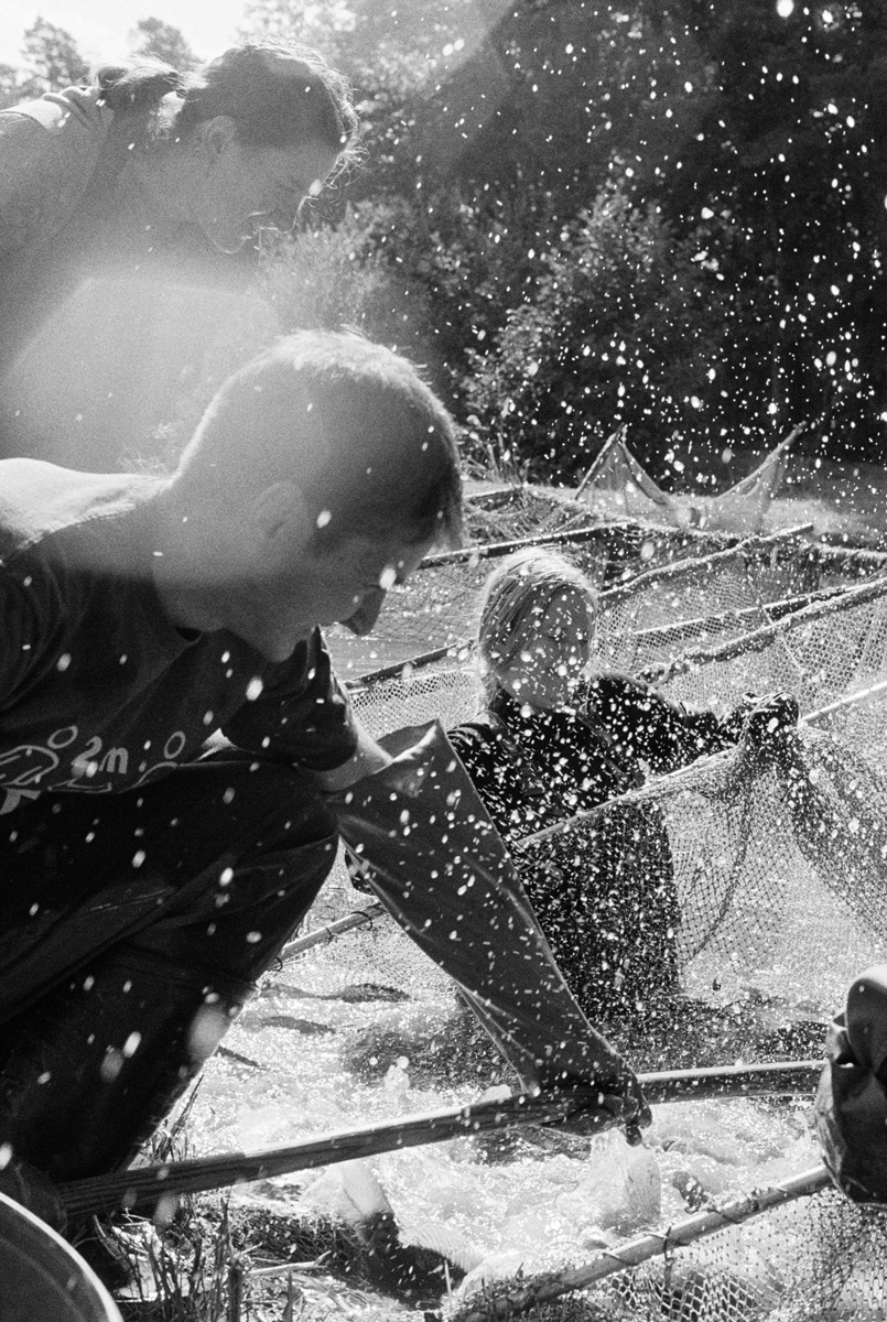 karpfenland 001 - Black and white images shot on ILFORD DELTA 3200 film