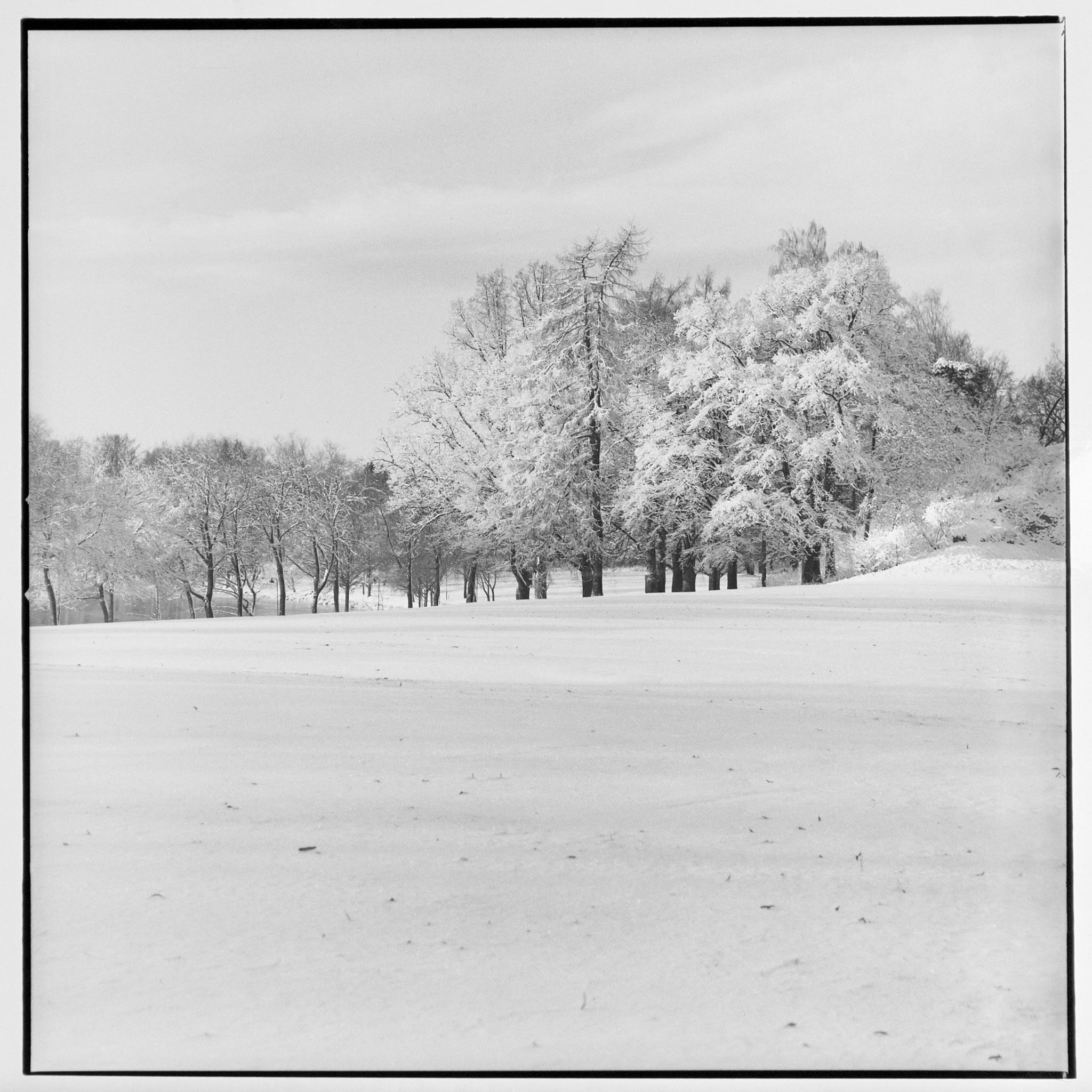 Black and white darkroom print of snowy landscape with trees in the background.