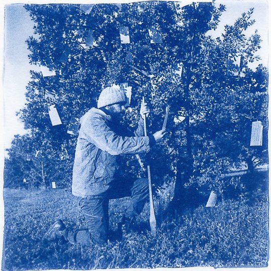Blue cyanotype of the man who planted trees