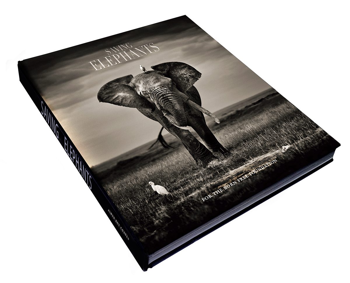 Book cover of an elephant