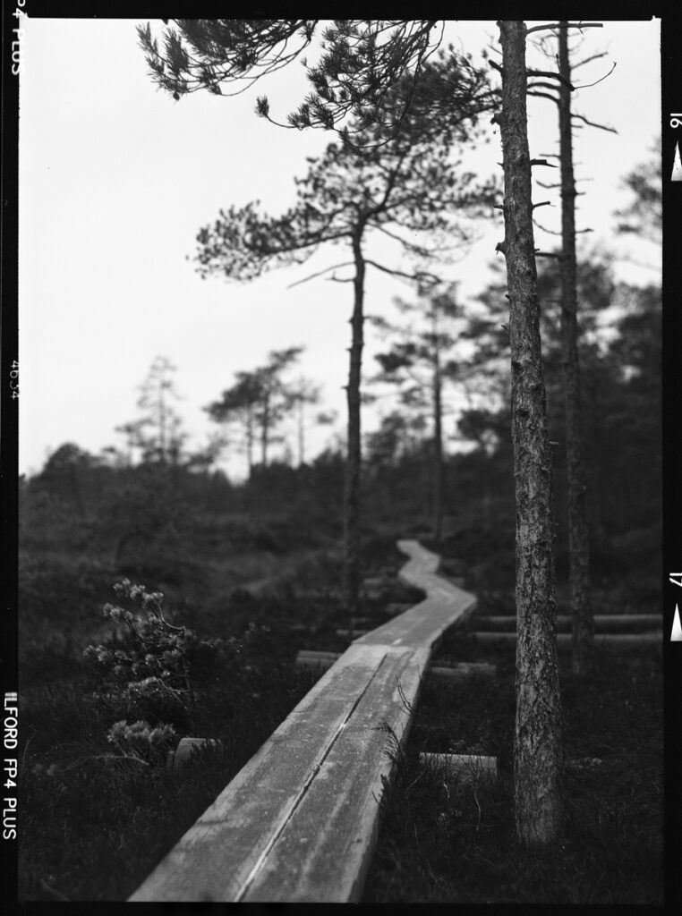 Black and white landscape photo of a path