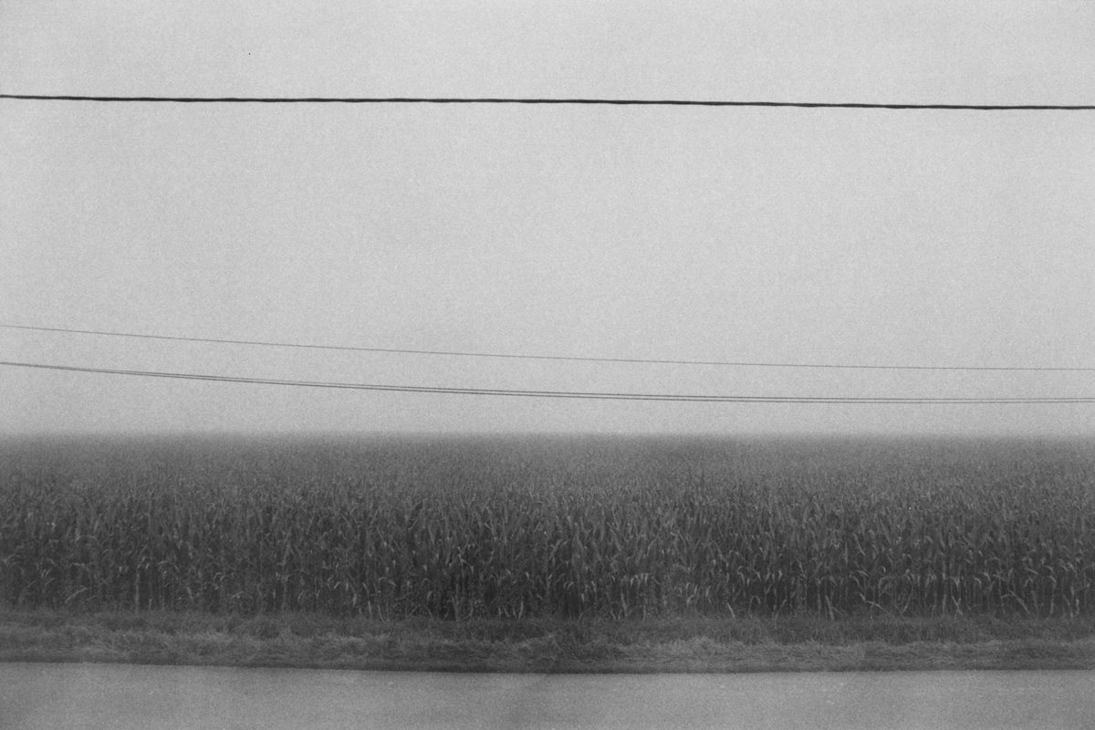 Black and white image of a misty field