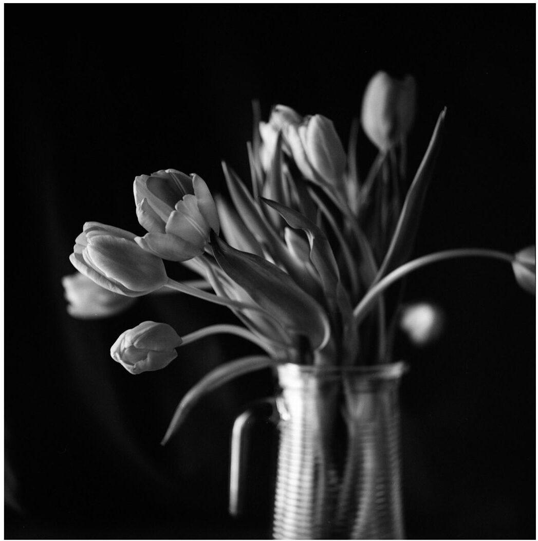 Black and white photo of still life flowers