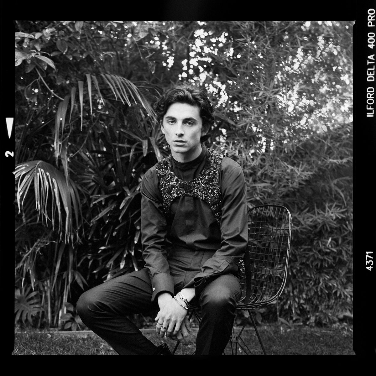 Portrait of a celebrity with greenery behind him