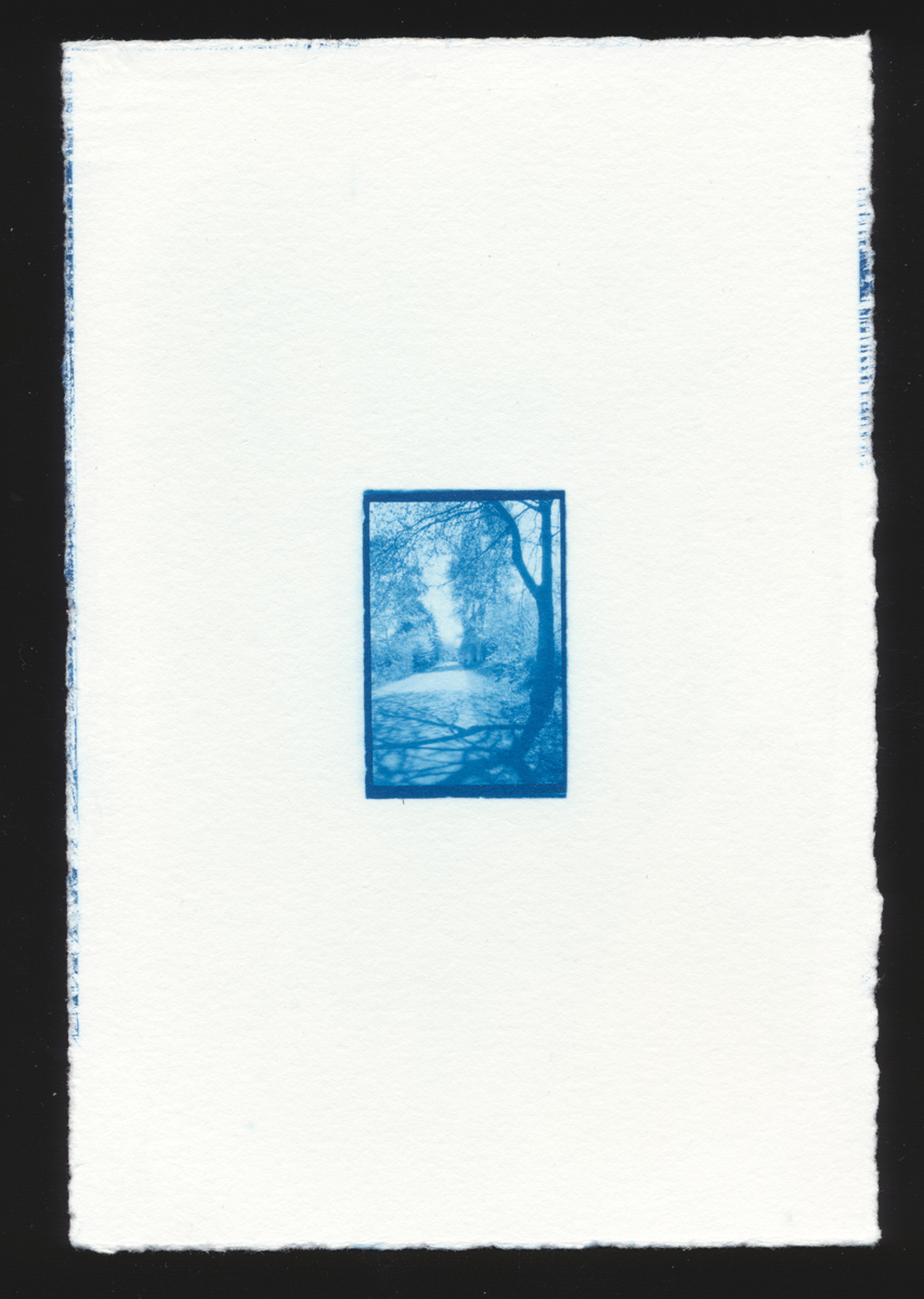 Cyanotype print