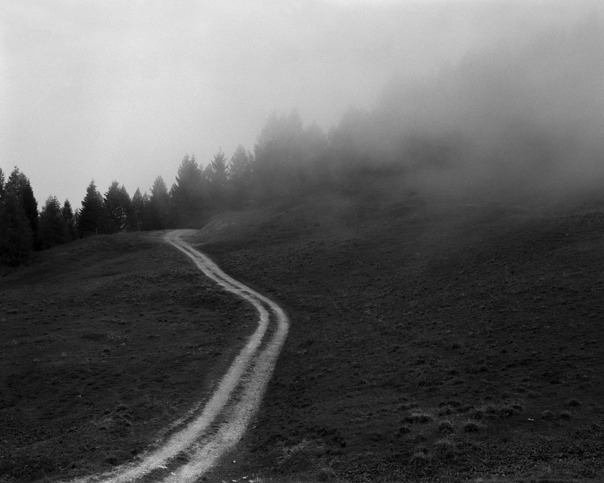 Misty path in the mountains