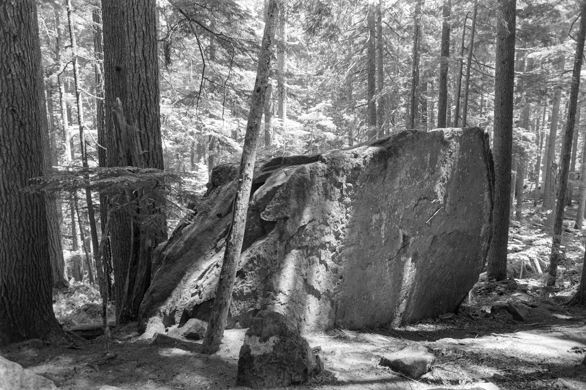 Black and white photo of a large rock in the woods