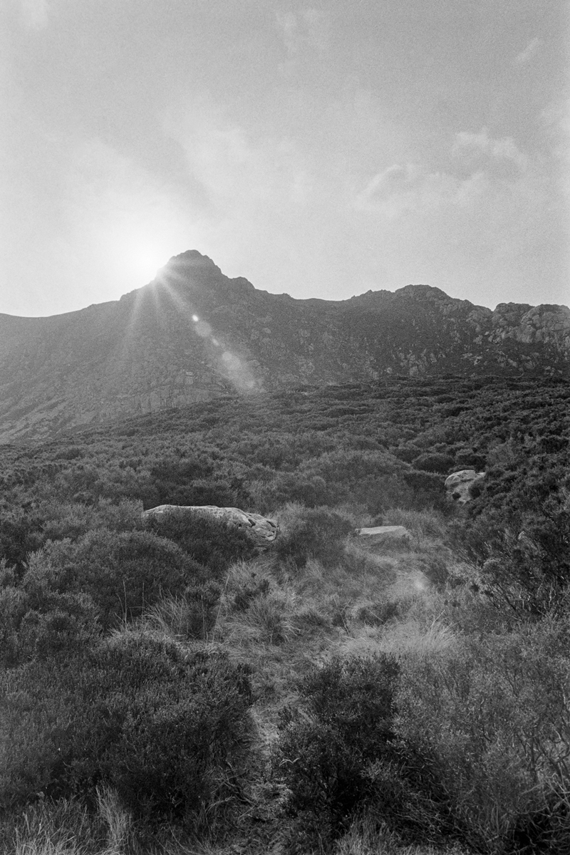 Black and white landscape photo with a light glare