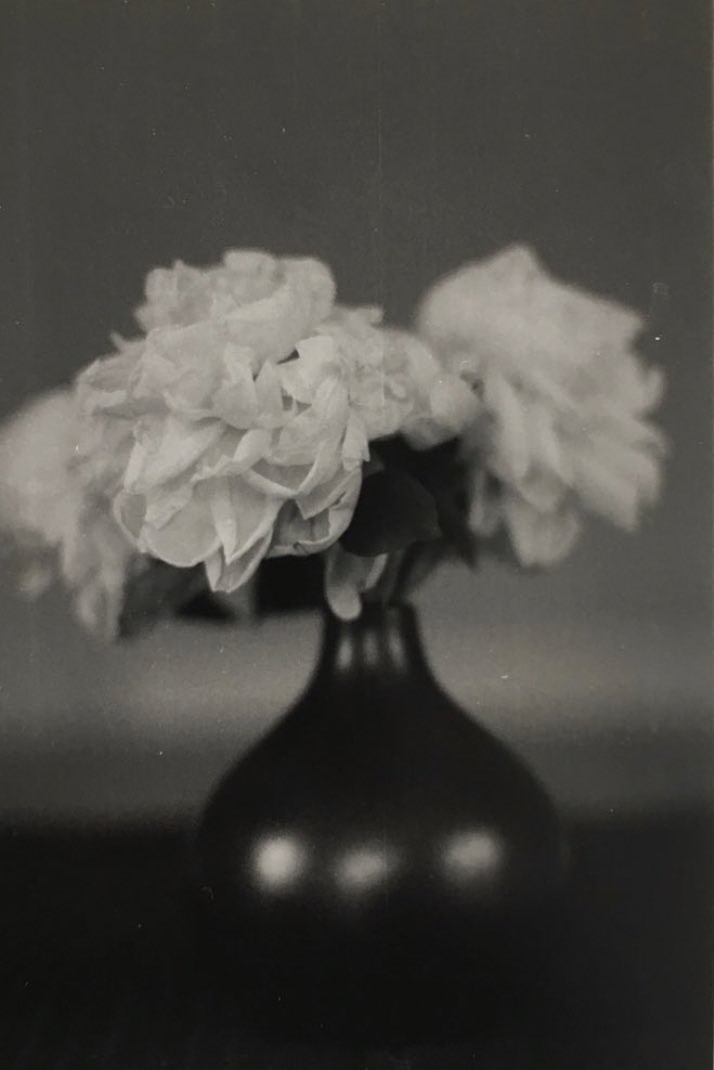 Still life of a flower in a vase black and white