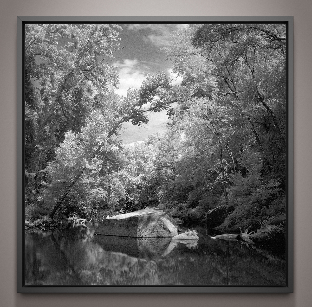 SFX film of landscape including trees and awater Scott Allen