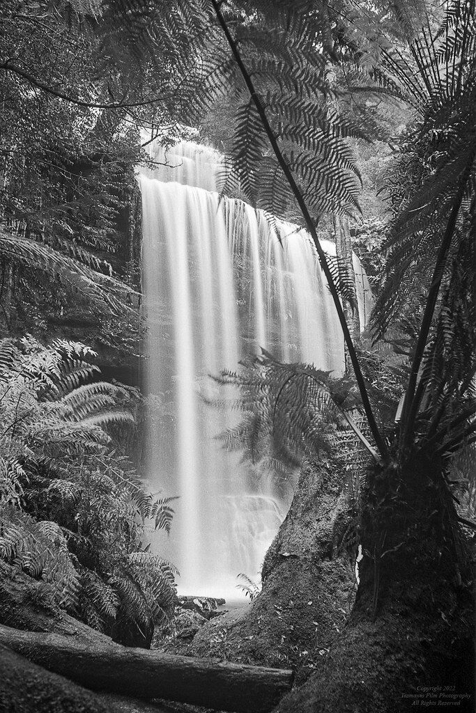 Friday favourites image of a waterfall black and white