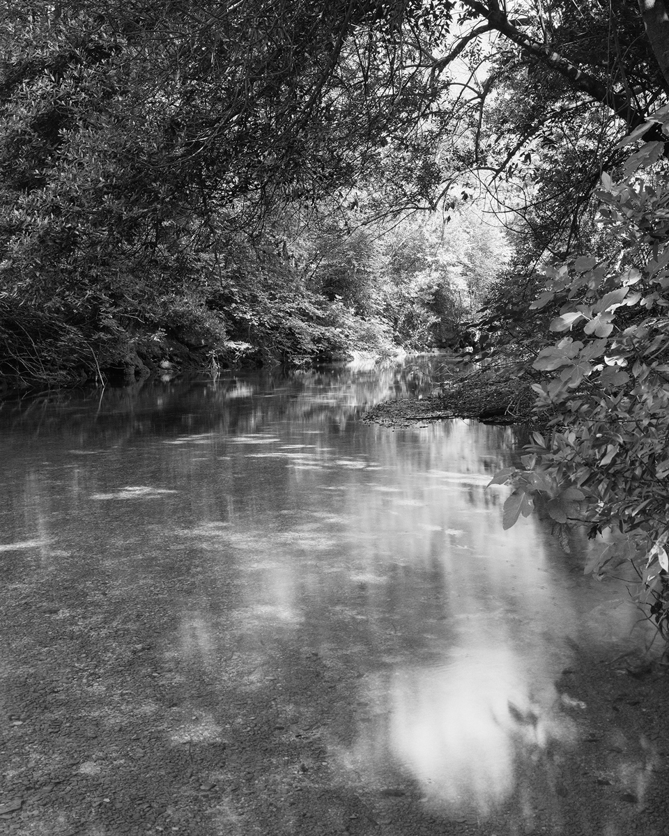 Black and white landscape of a lake