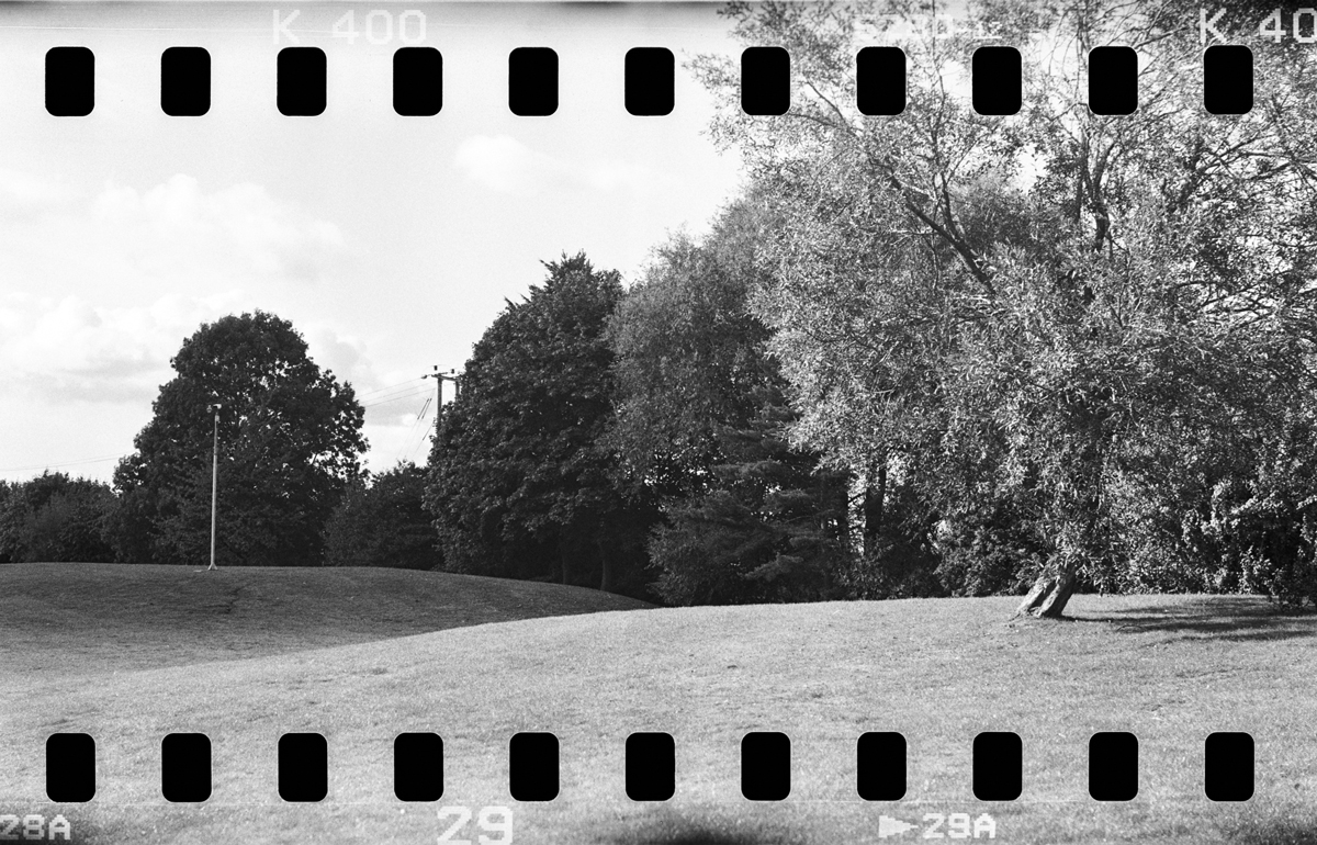 Shooting Sprockets - Ilford Photo