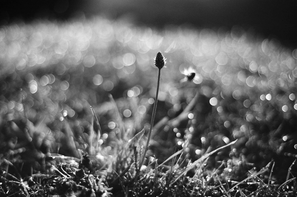 Friday Favourites #signsofspring