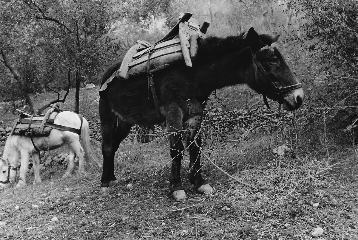 A Winter in Greece, 1970