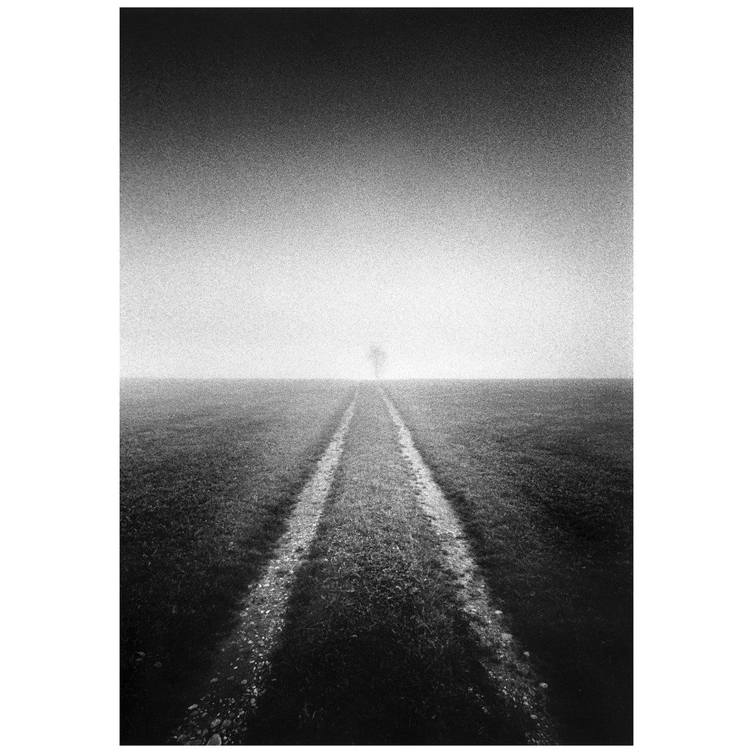Black andwhite image of a pathway through a cornfield andmist in the distance. The images has been shot on black and white film and the grain is visible