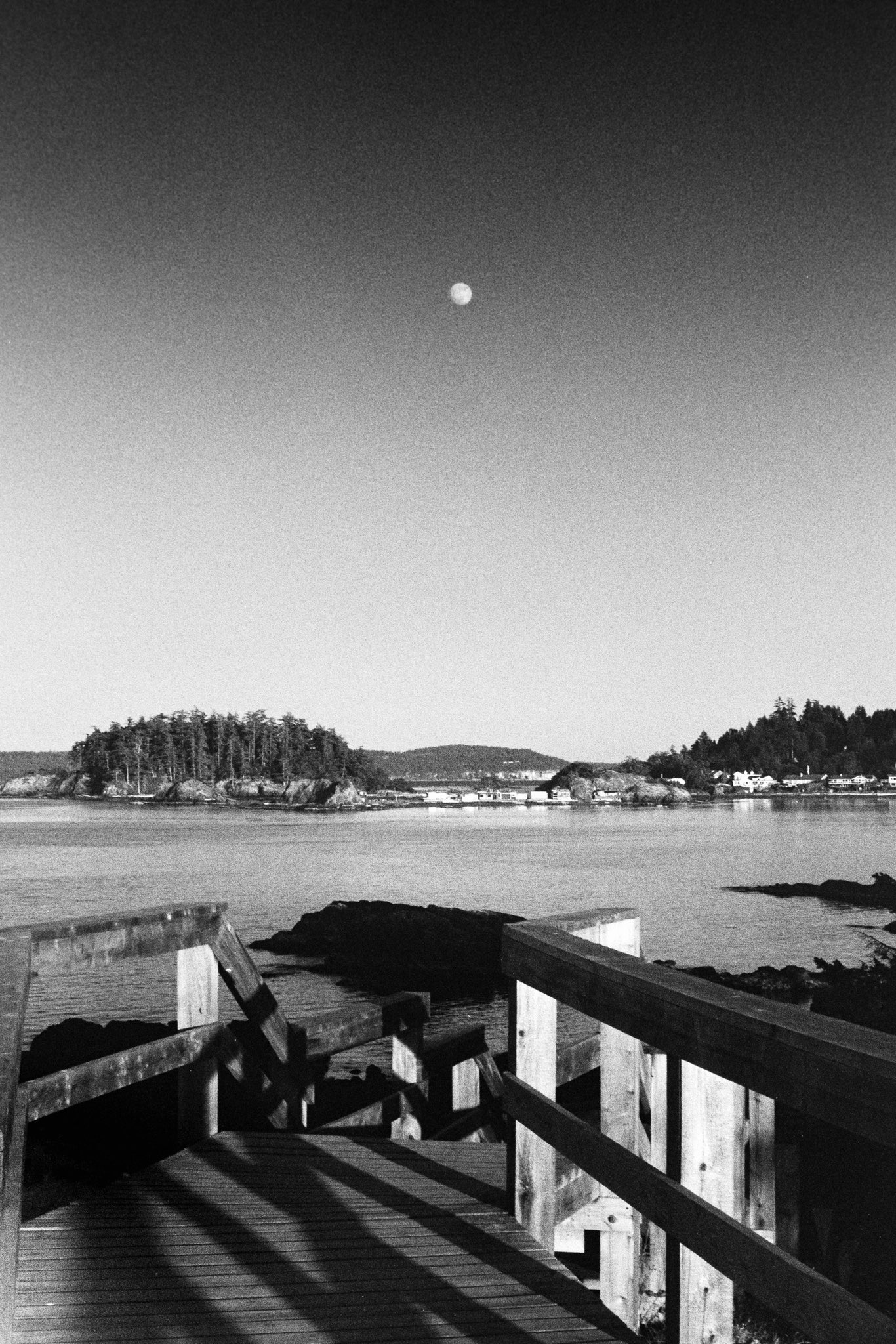 @robinferand An evening at Neck Point on Vancouver Island, BC. 📷: Minolta SRT-101 📸: Rokkor 58mm f/1.4 🟠: Orange Filter 🎞️: #ilforddfp4 ⏲️: Ilford Ilfotec DD-X #Filmphotography #ilfordphoto #35mm #blackandwhite #britishcolumbia #nanaimobc #fridayfavourites #themefree