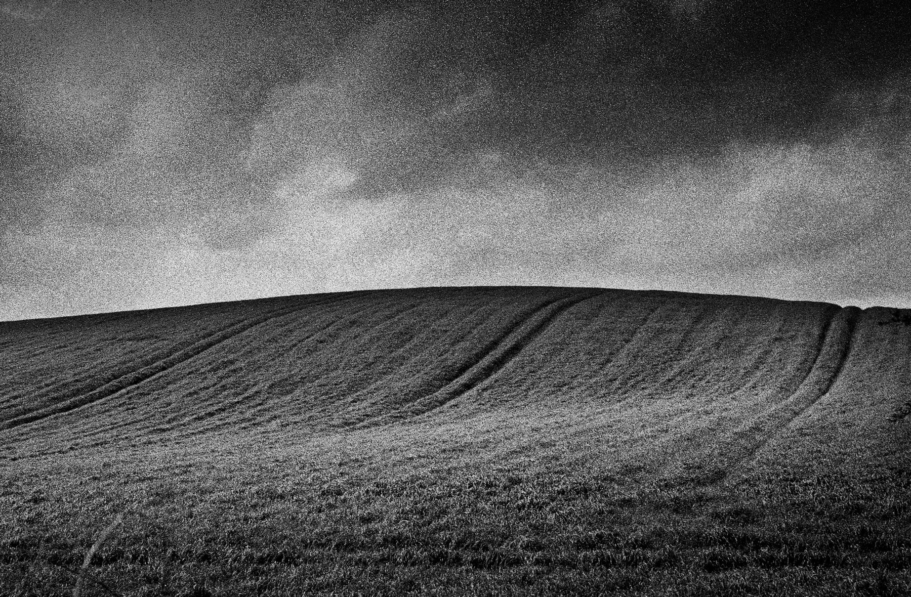 @PhilBixby Another for this week's #ilfordphoto #fridayfavourites #ilikegrain - again shot on Delta 3200 rated at 1600, Nikon F4 with Micro Nikkor 105mm f2.8 lens. Yorkshire in April.