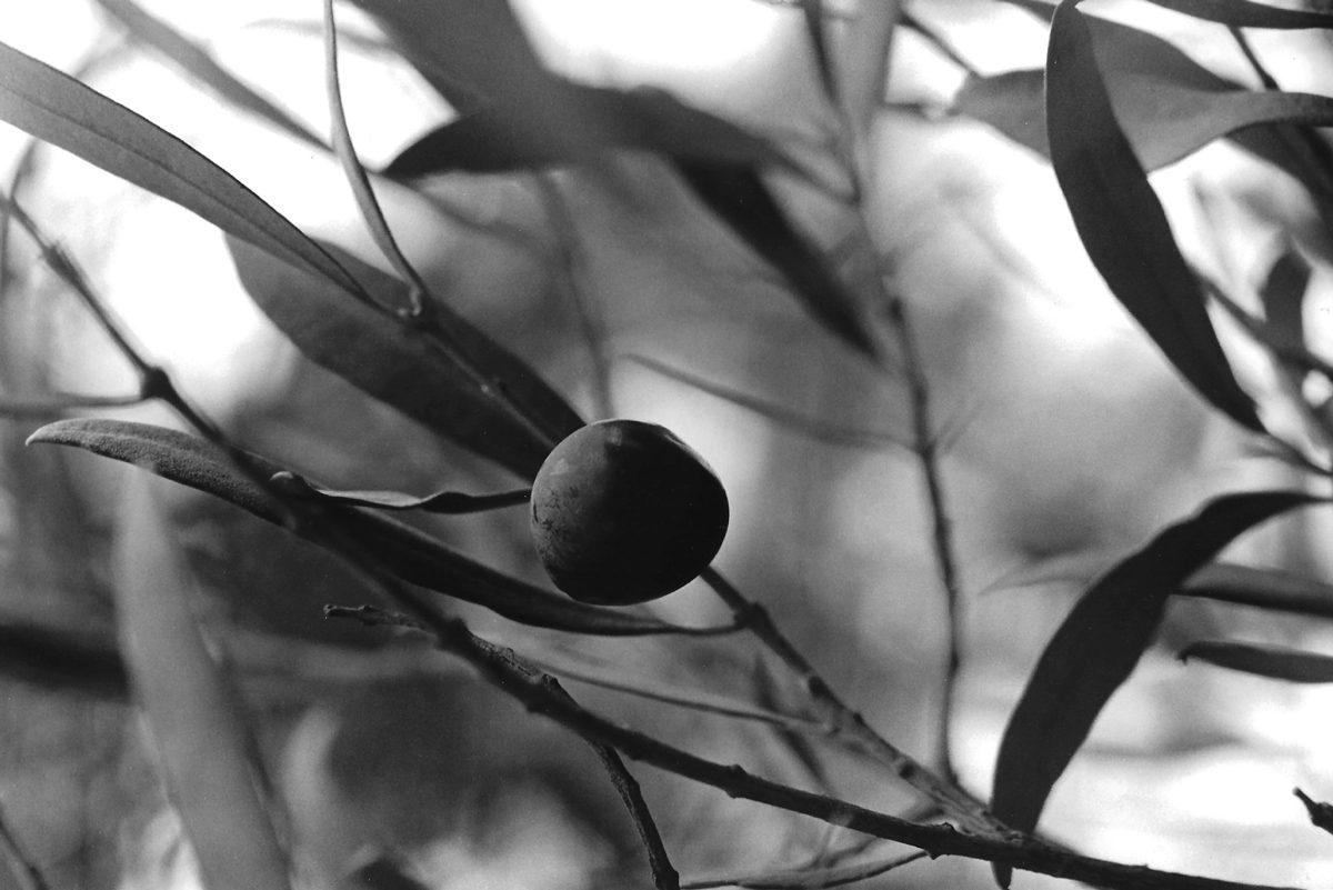 A Winter in Greece, 1970