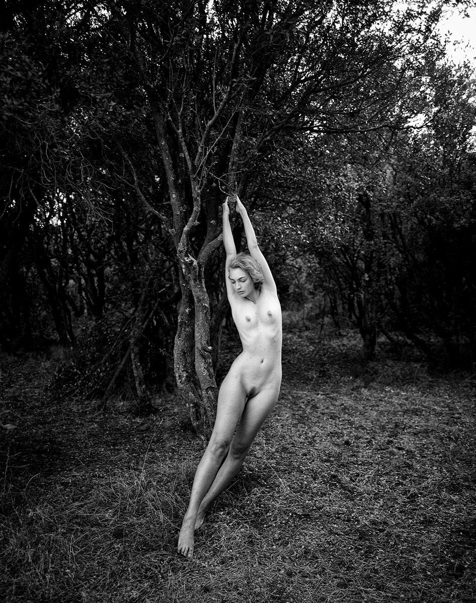 Angélique Boissière
