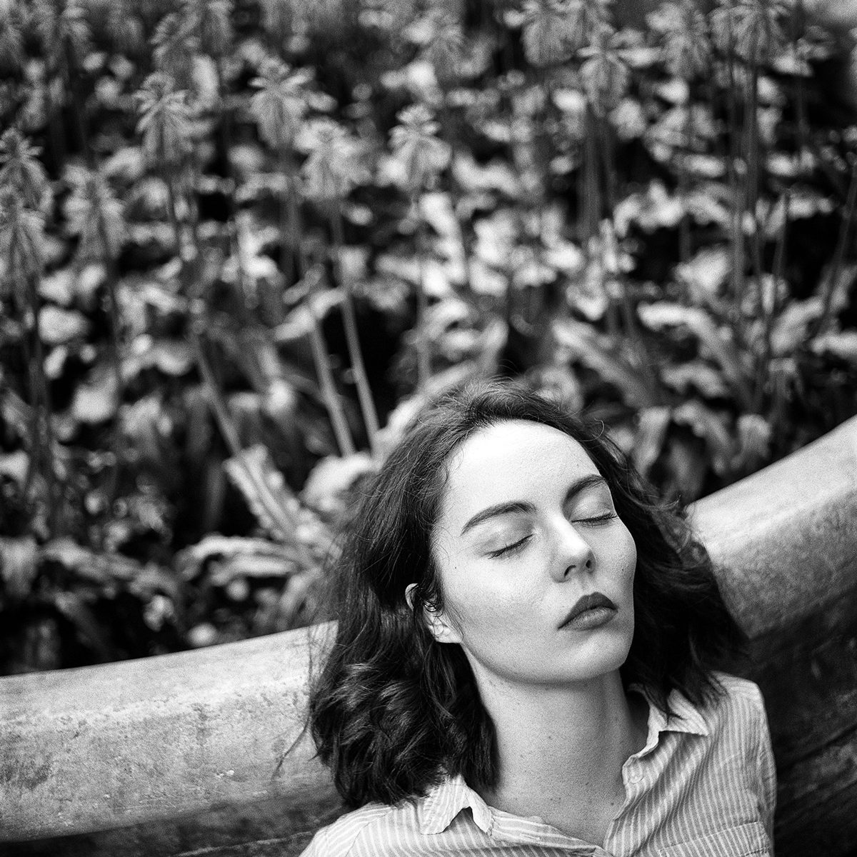 Angélique Boissière