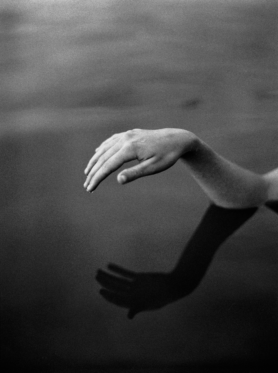 In Focus - Dominik Friess