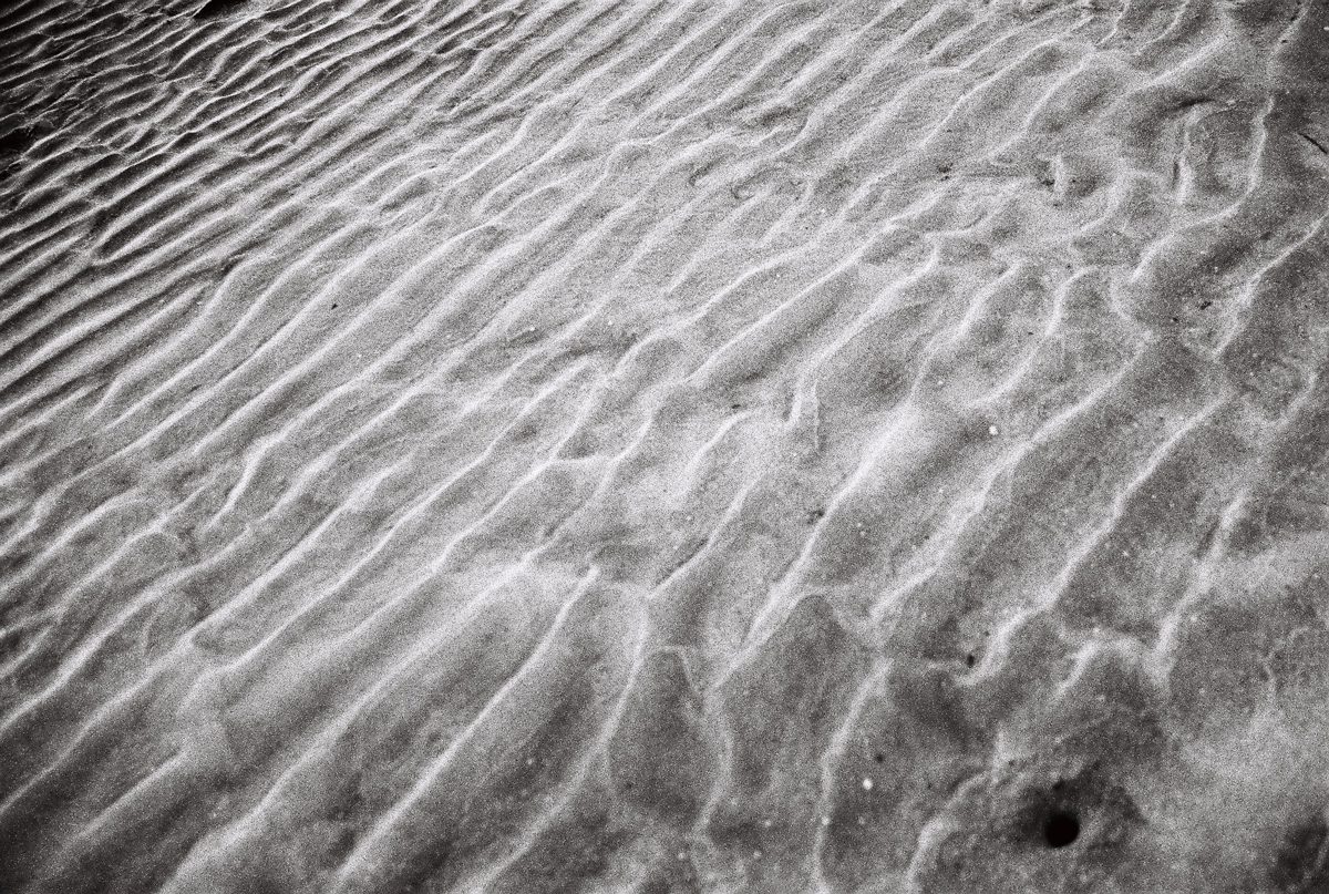 Friday Favourites #Ilfordsummer