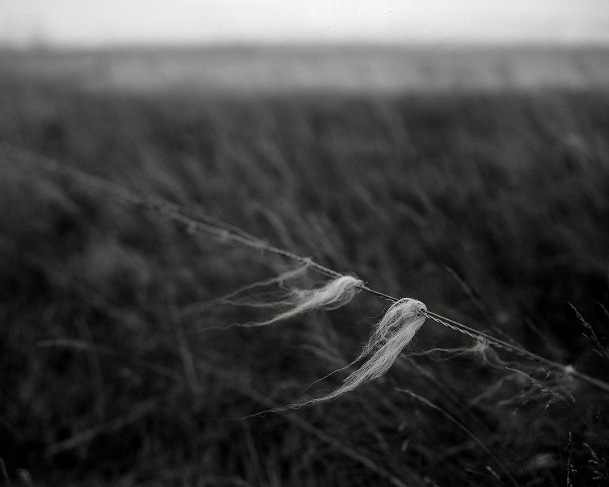 Julian Roedel
