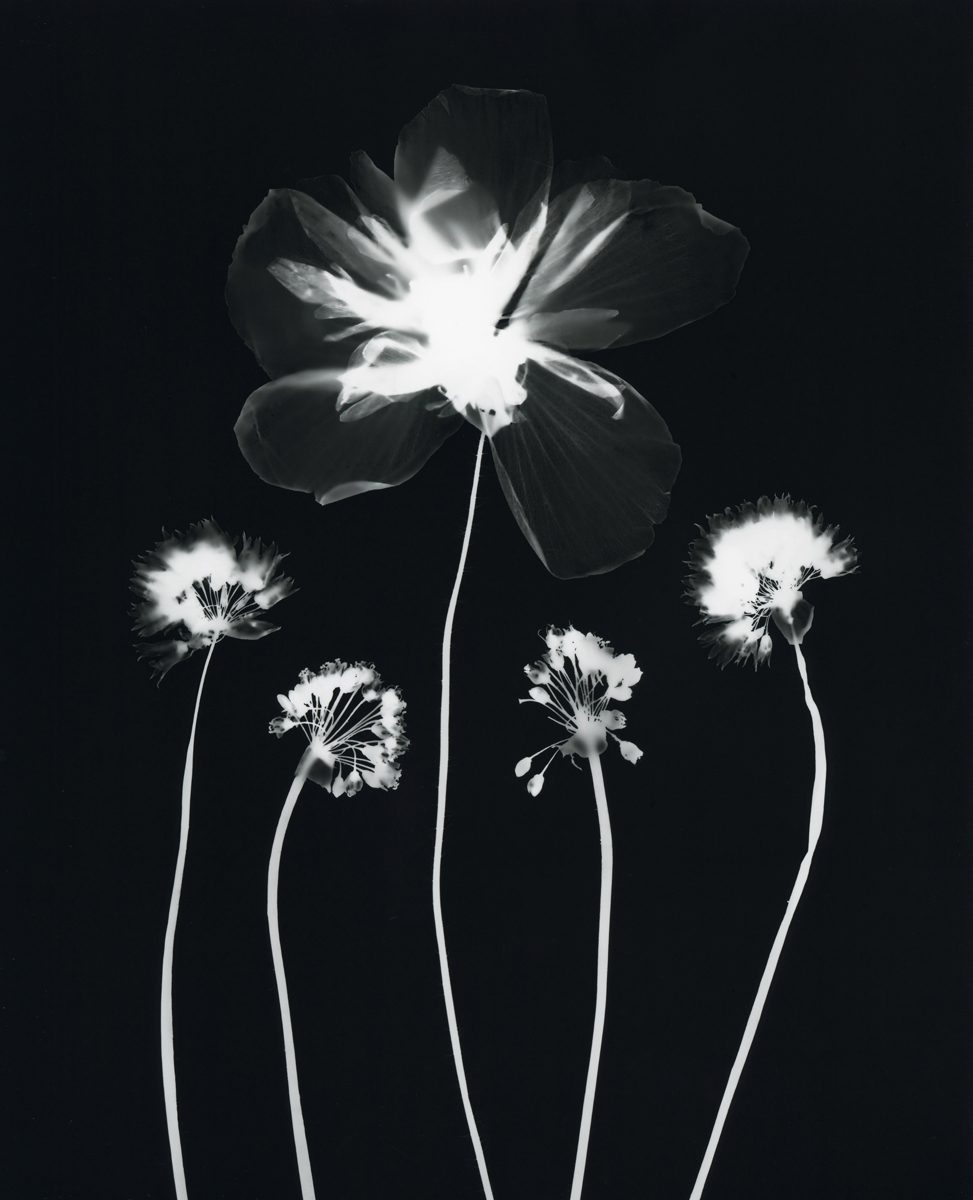 Jo Thomson