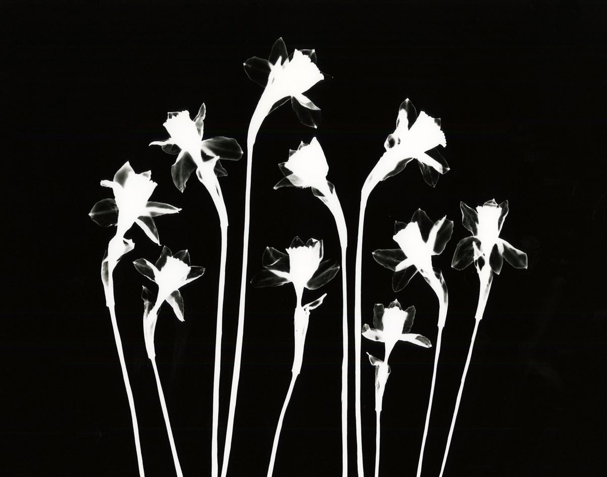 Jo Thomson 