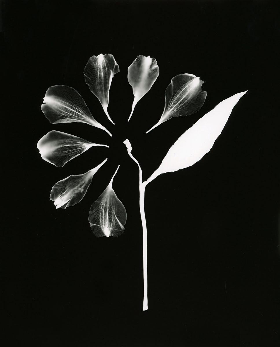 Jo Thomson