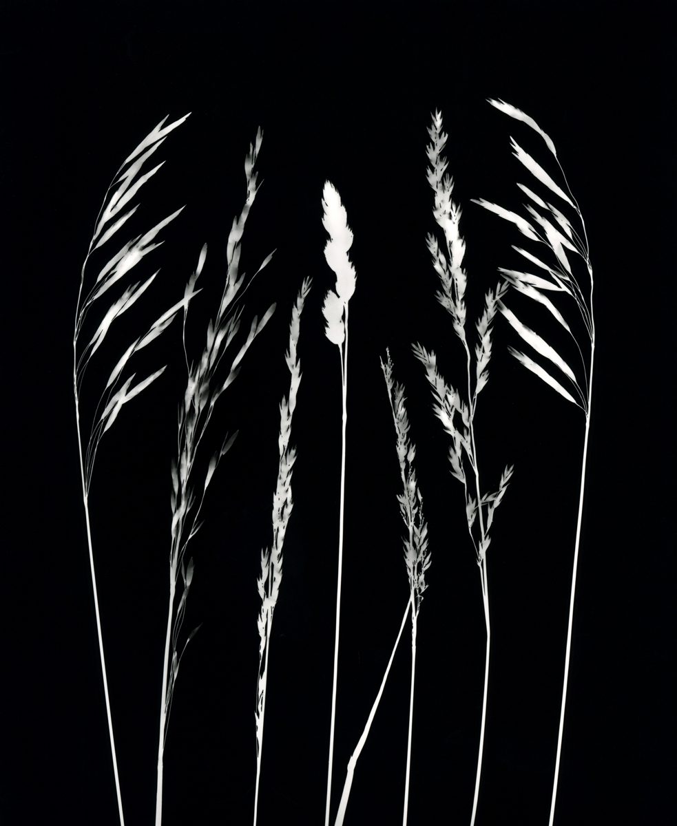 Jo Thomson 