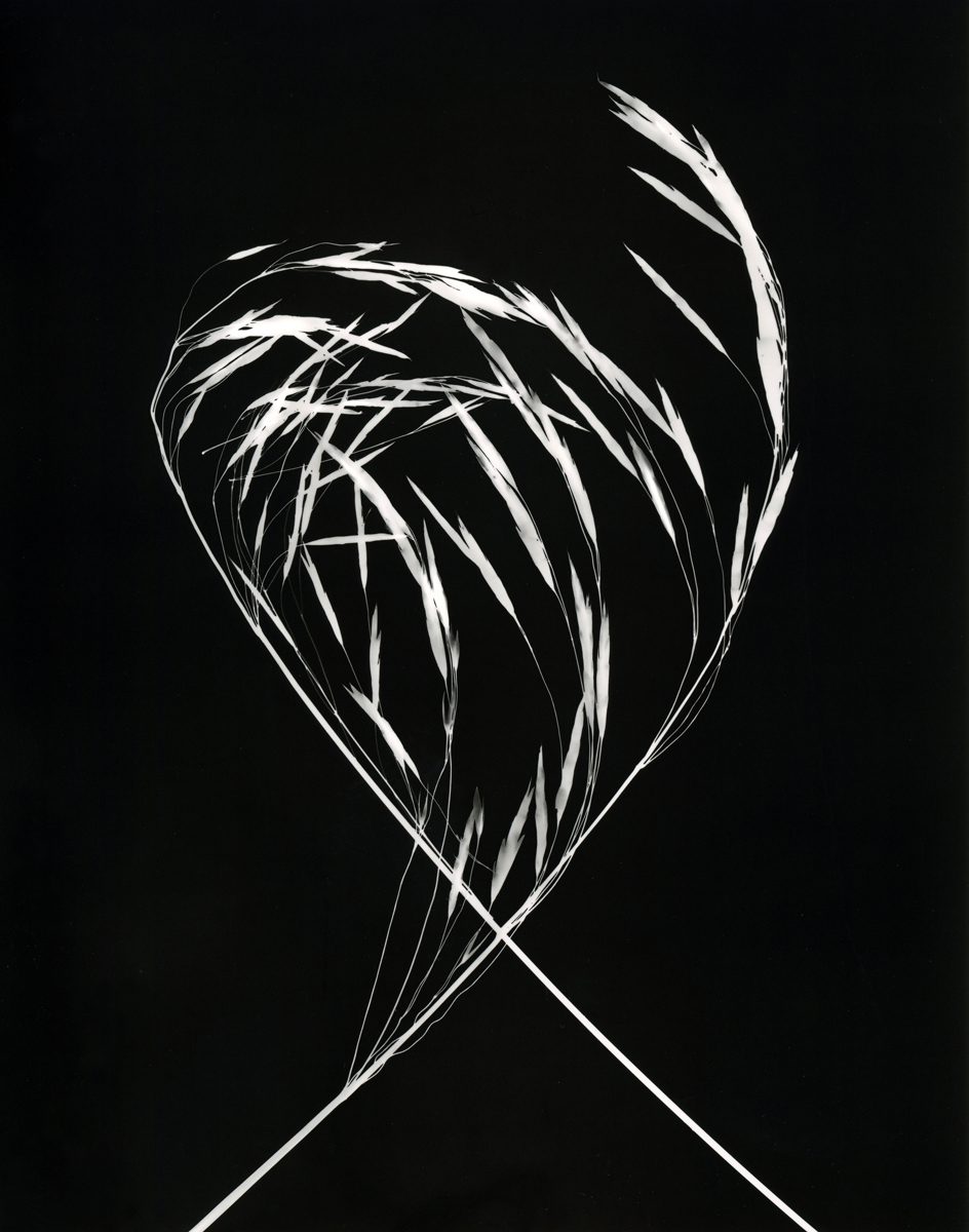 Jo Thomson 
