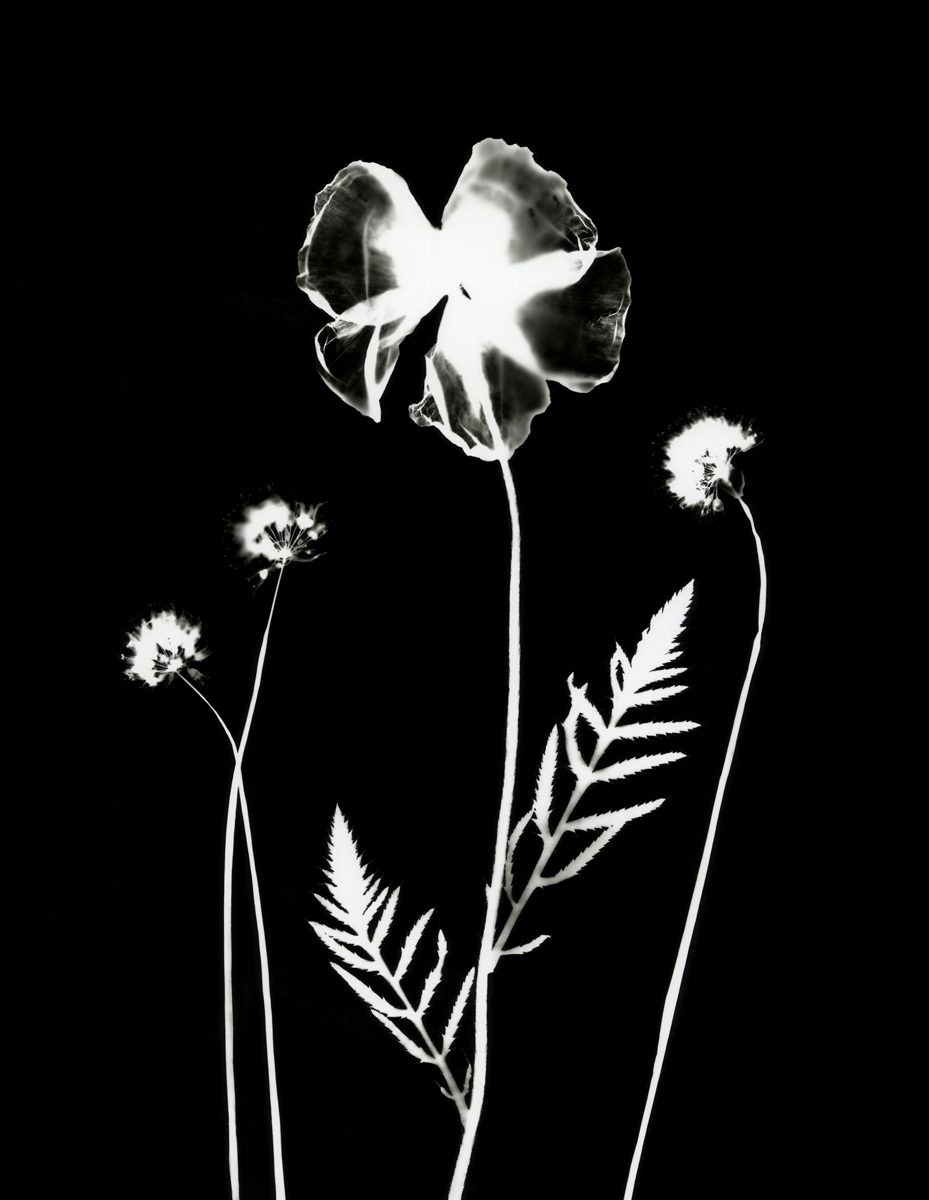 Jo Thomson