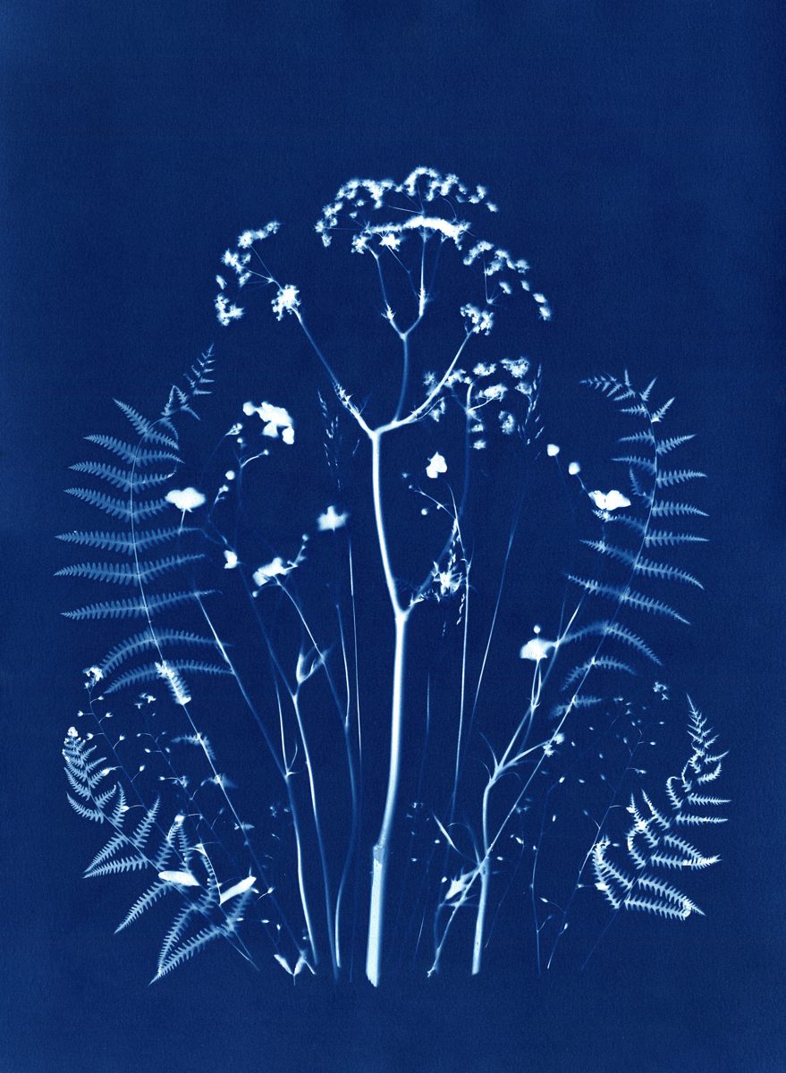 Jo Thomson
